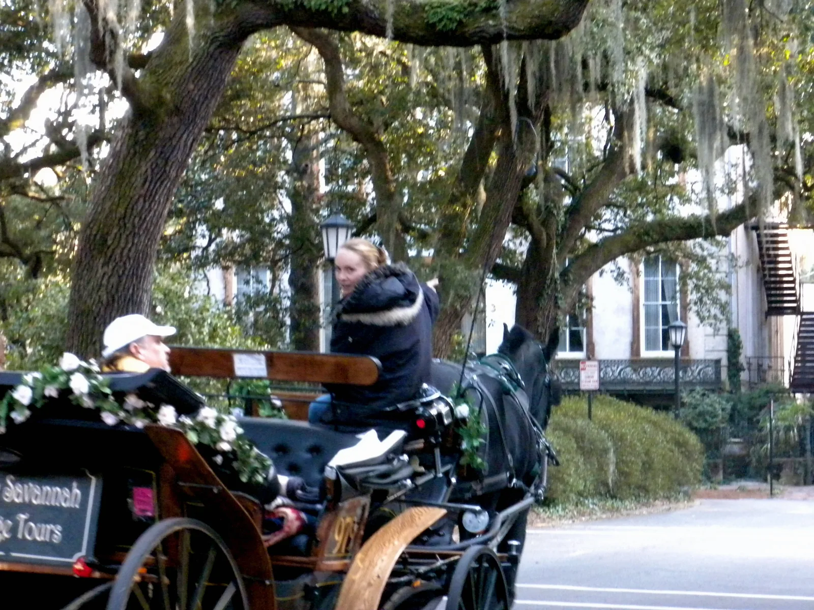 A horse-drawn carriage tour passes under the live oaks at Monterey Square in the Historic District.