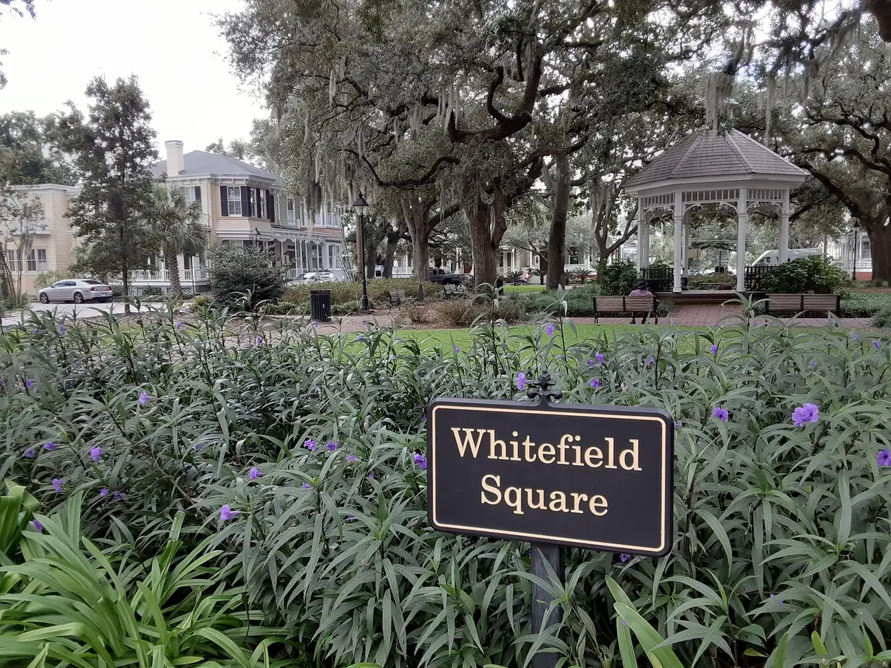 The gazebo and live oaks of Whitefield Square, one of the Historic District squares where dogs must be leashed.