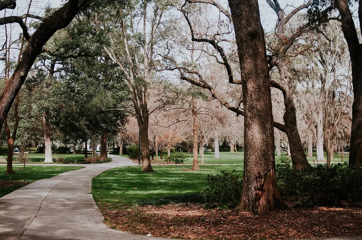 Live oaks and walking paths in Forsyth Park, home of the Saturday farmers market.