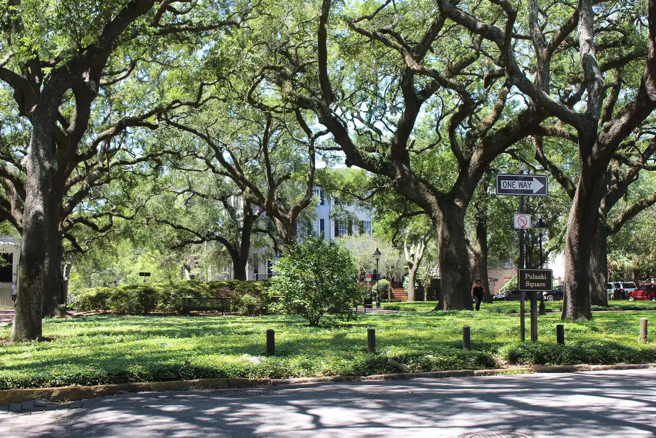 Live oaks shade Pulaski Square in Savannah's Historic District, a home base for Wag-O-Ween weekend.