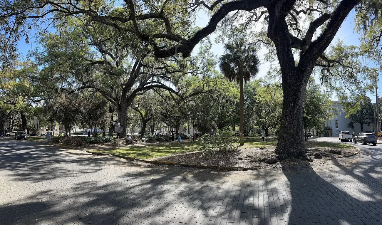 Live oaks and palmettos shade Lafayette Square in Savannah's Historic District.
