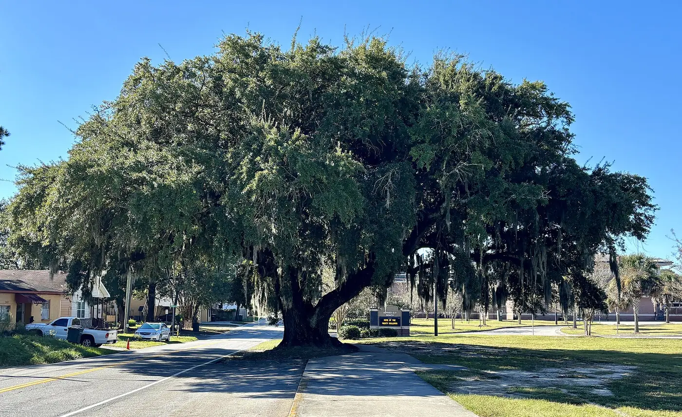 The entrance to Alfred Ely Beach High School, which DeRenne Middle feeds, about two-thirds of a mile from the school