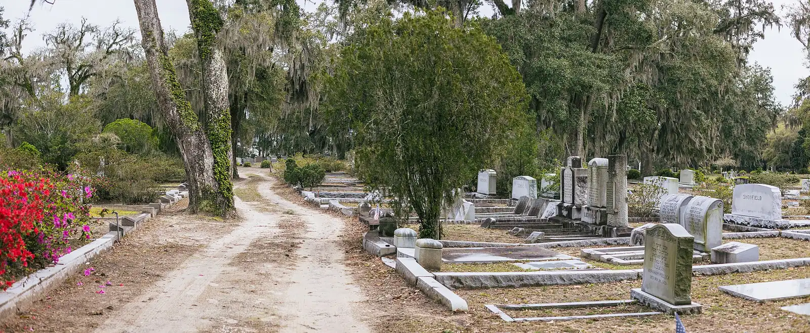 Graves under live oaks at Bonaventure Cemetery, about a mile and a quarter from Savannah High