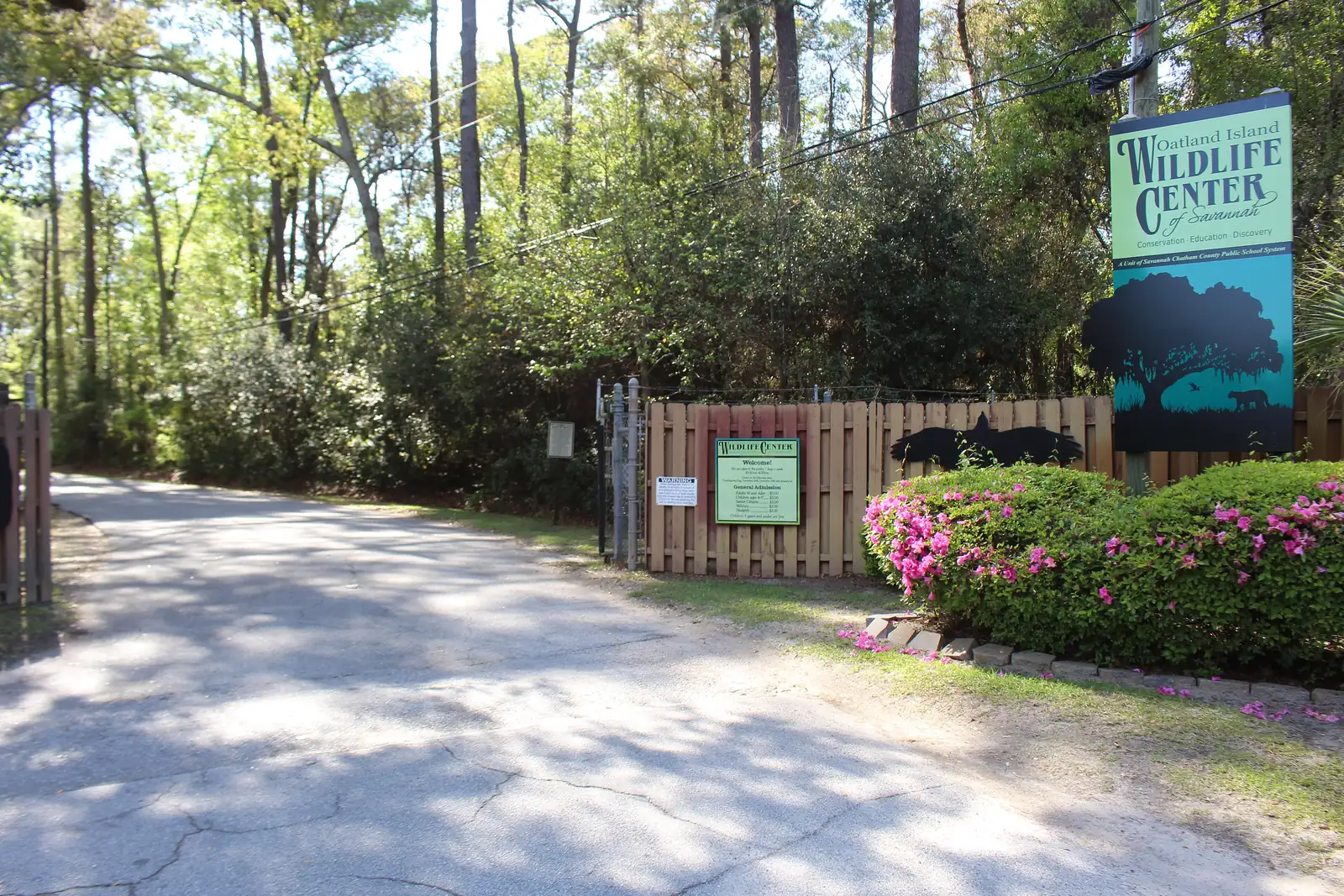 Azaleas in bloom at the entrance to the Oatland Island Wildlife Center on Sandtown Road.