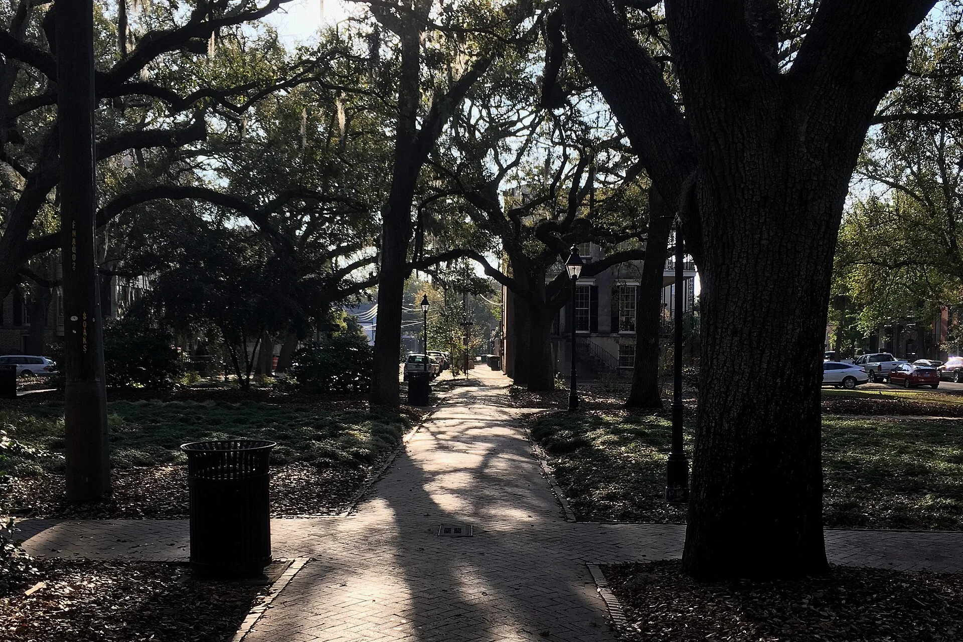 Live oaks over the paths of Calhoun Square, on Abercorn Street along the downtown Savannah parade route.
